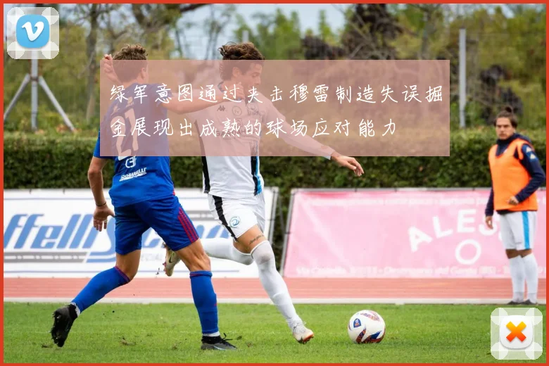 绿军意图通过夹击穆雷制造失误掘金展现出成熟的球场应对能力